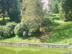 Šíleně smutná princezna