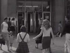 Naše bláznivá rodina