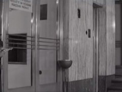 Naše bláznivá rodina